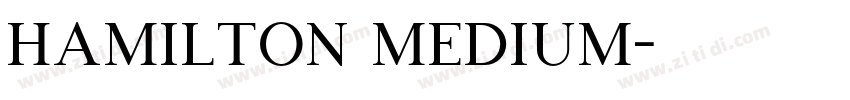 Hamilton Medium字体转换